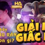 Mơ thấy chặt đầu rắn đánh lô đề con số gì?