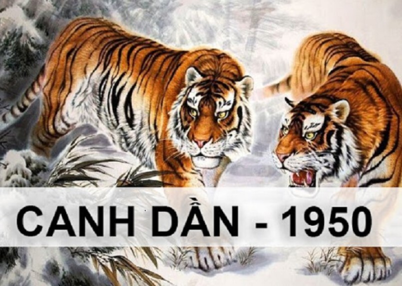 Tuoi Dan Sinh Nam Bao Nhieu 3